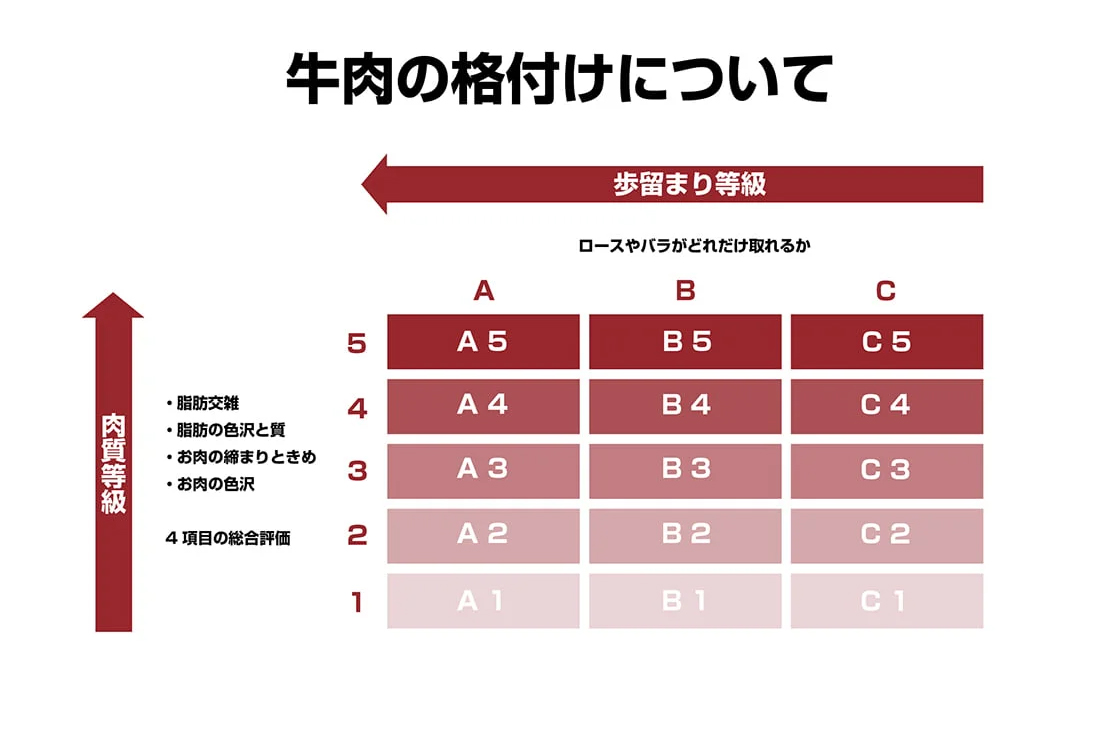 牛肉の格付けについて